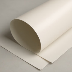 Пленка фторопластовая Ф-4 0,03 мм ЭО ГОСТ 24222-80 электроизоляционная ориентированная